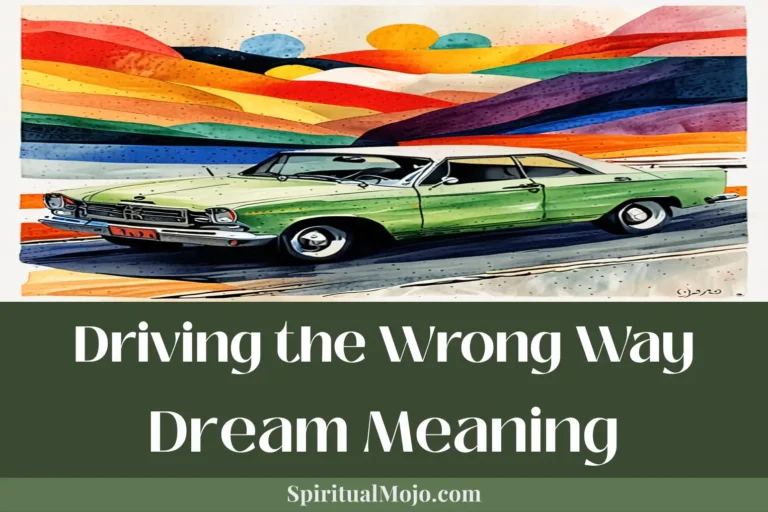 driving the wrong way dream meaning