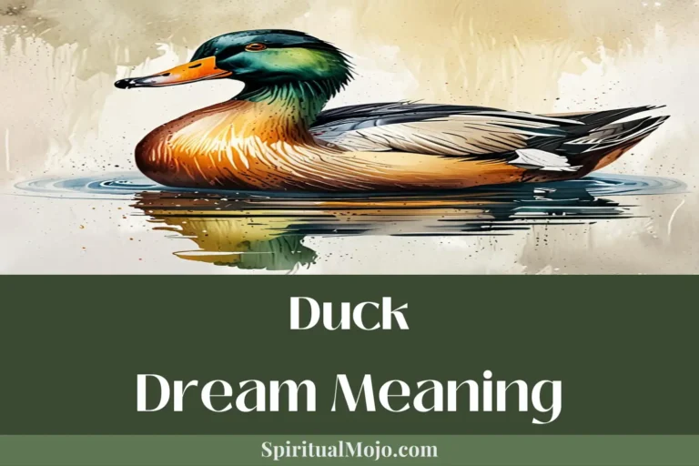 duck dream meaning