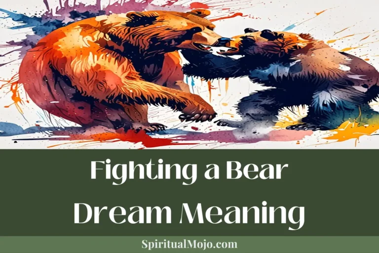 fighting a bear dream meaning