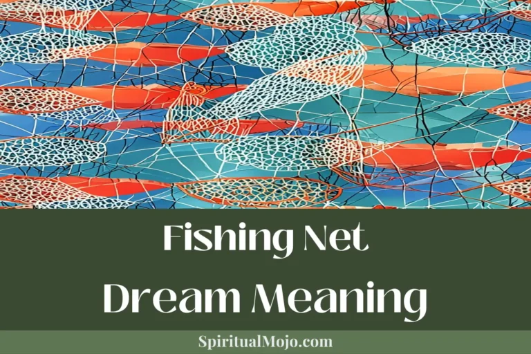 fishing net dream meaning