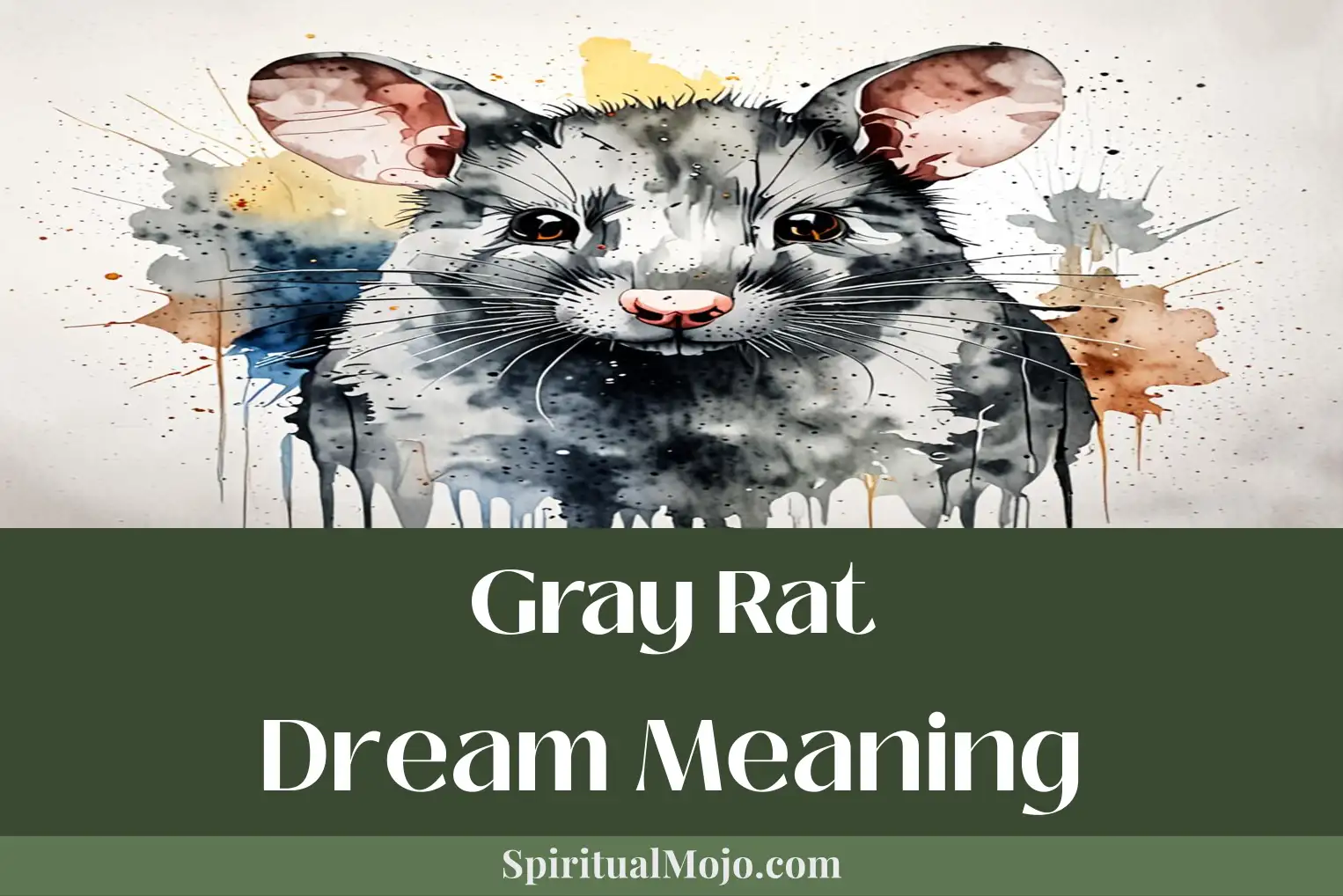 gray rat dream meaning