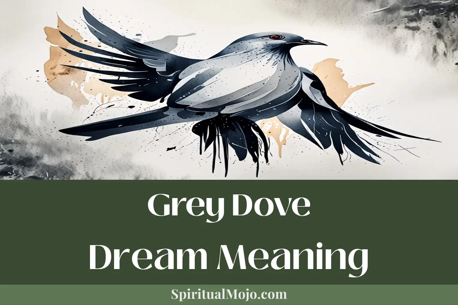 grey dove dream meaning