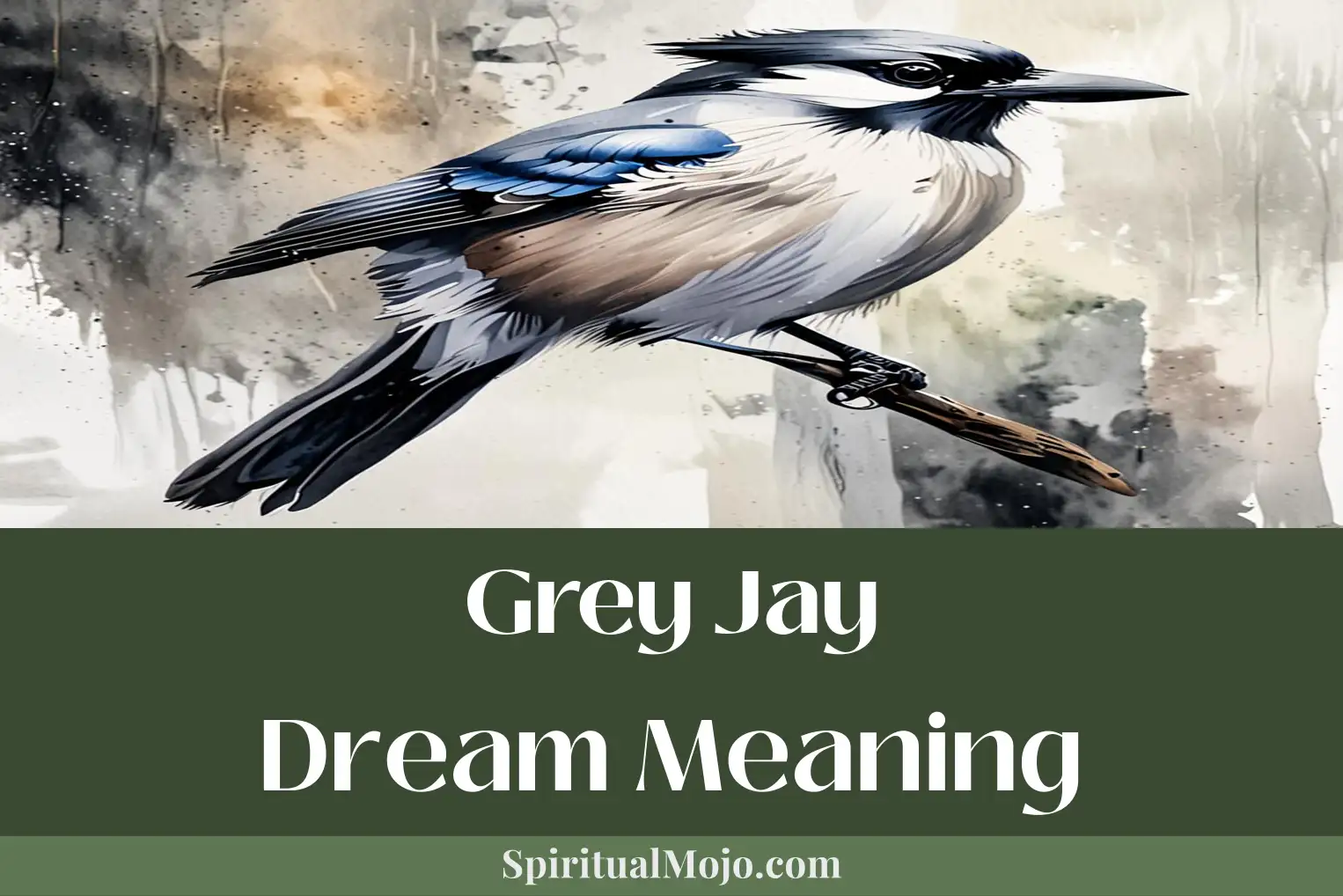 grey jay dream meaning