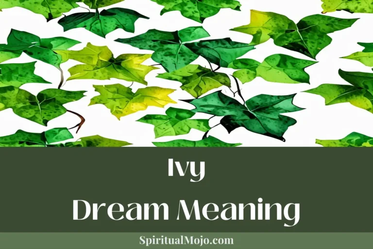 ivy dream meaning