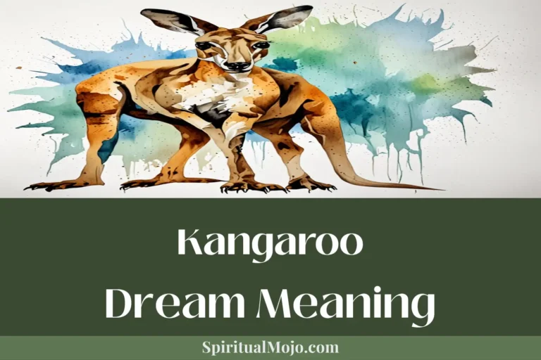 kangaroo dream meaning
