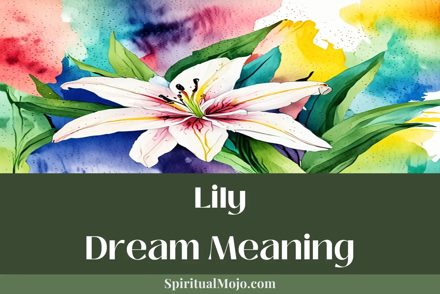 lily dream meaning