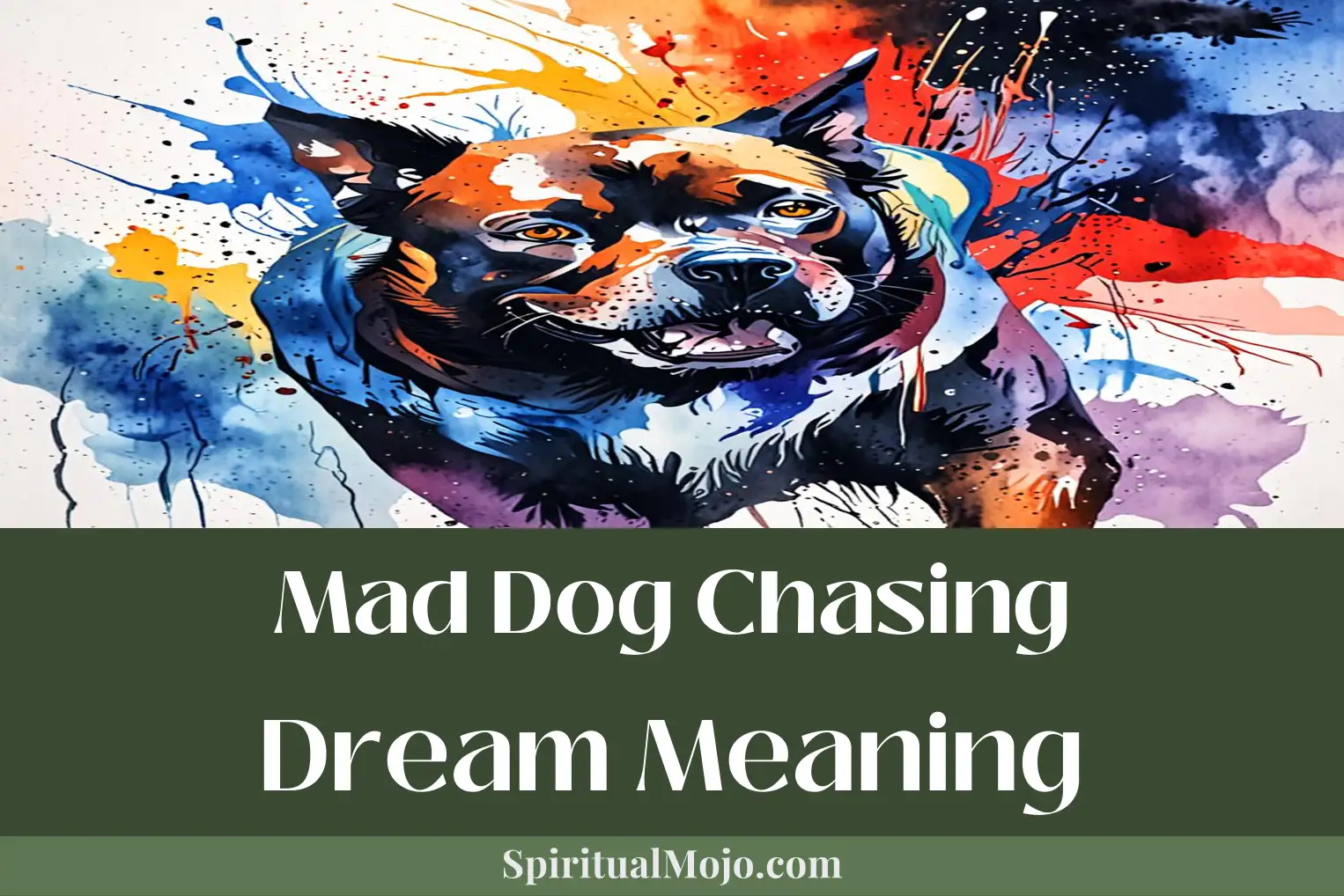mad dog chasing dream meaning