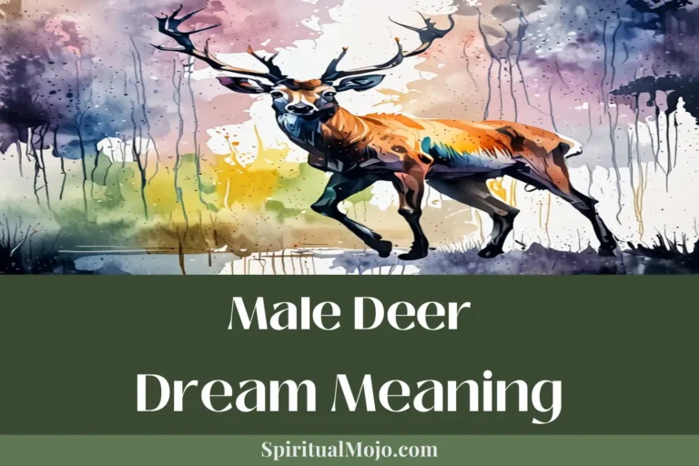 male deer dream meaning