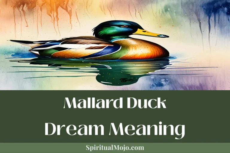 mallard duck dream meaning