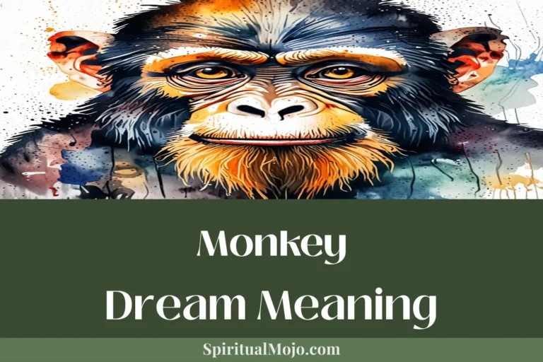 monkey dream meaning