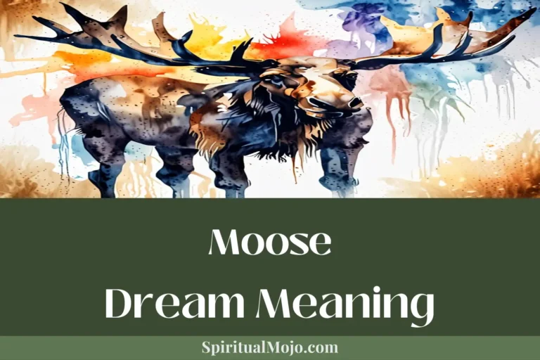 moose dream meaning