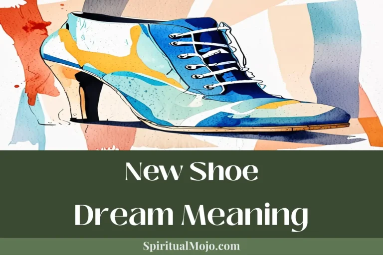 new shoe dream meaning