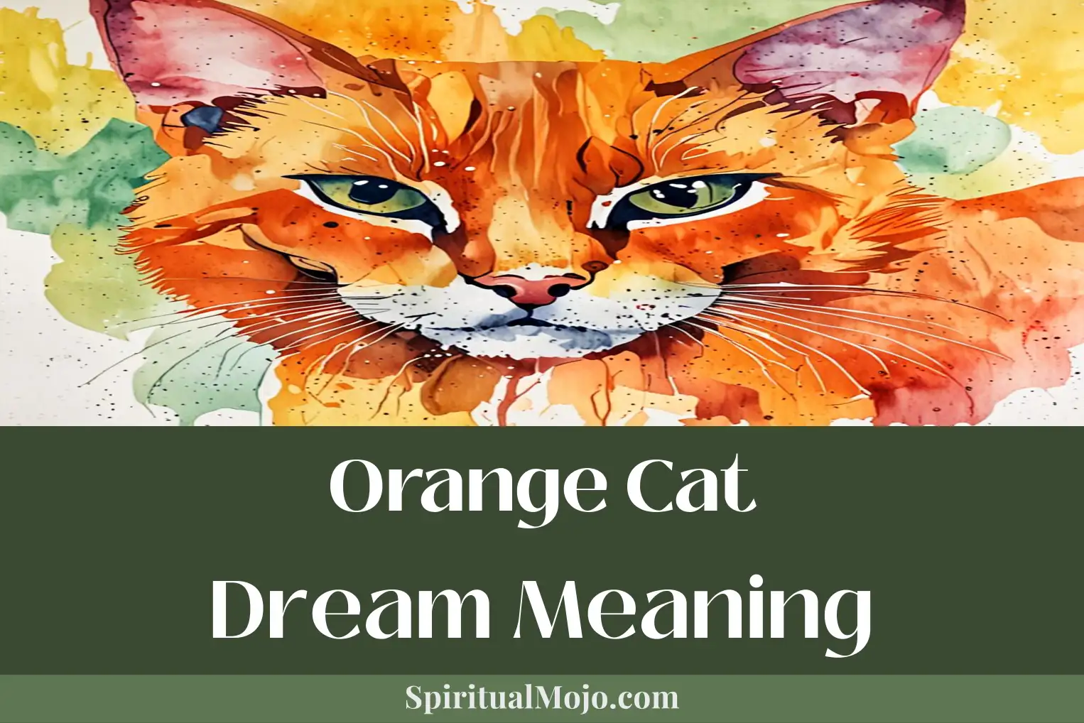 orange cat dream meaning