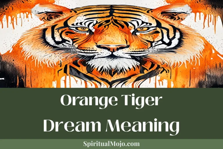 orange tiger dream meaning