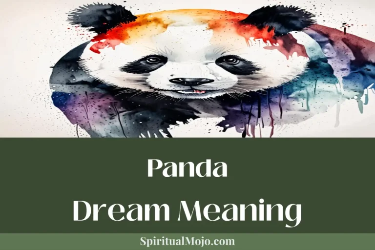 panda dream meaning