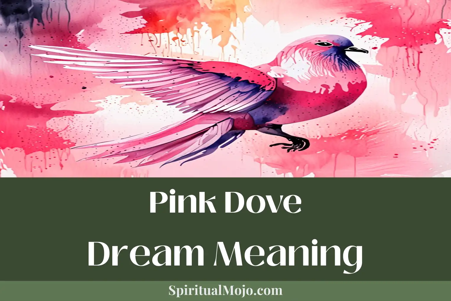 pink dove dream meaning