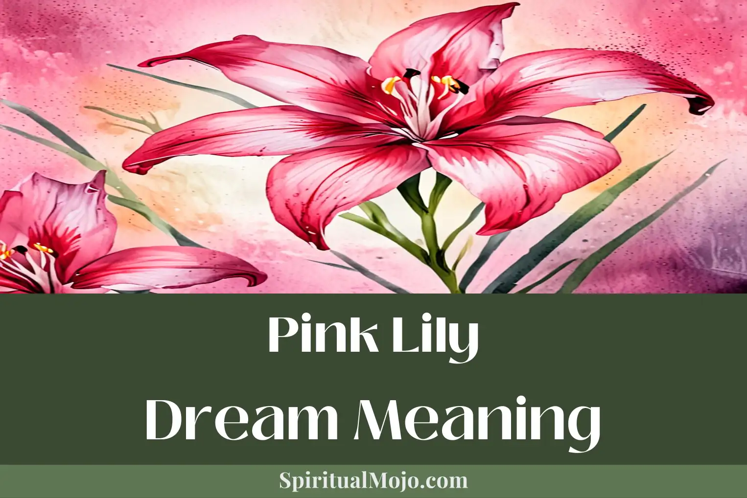 pink lily dream meaning