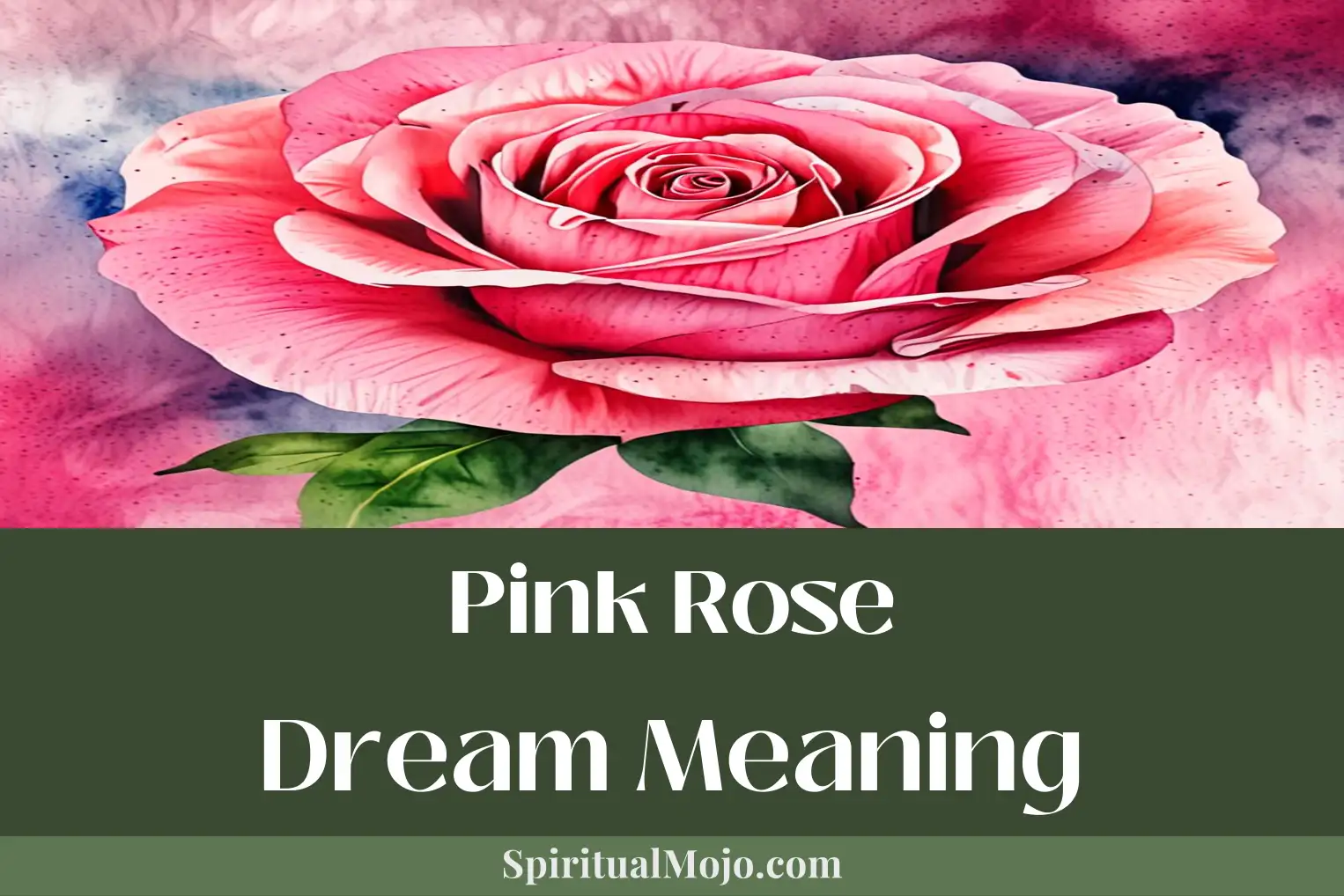 pink rose dream meaning