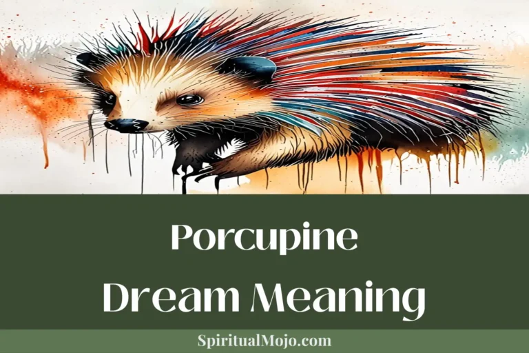 porcupine dream meaning
