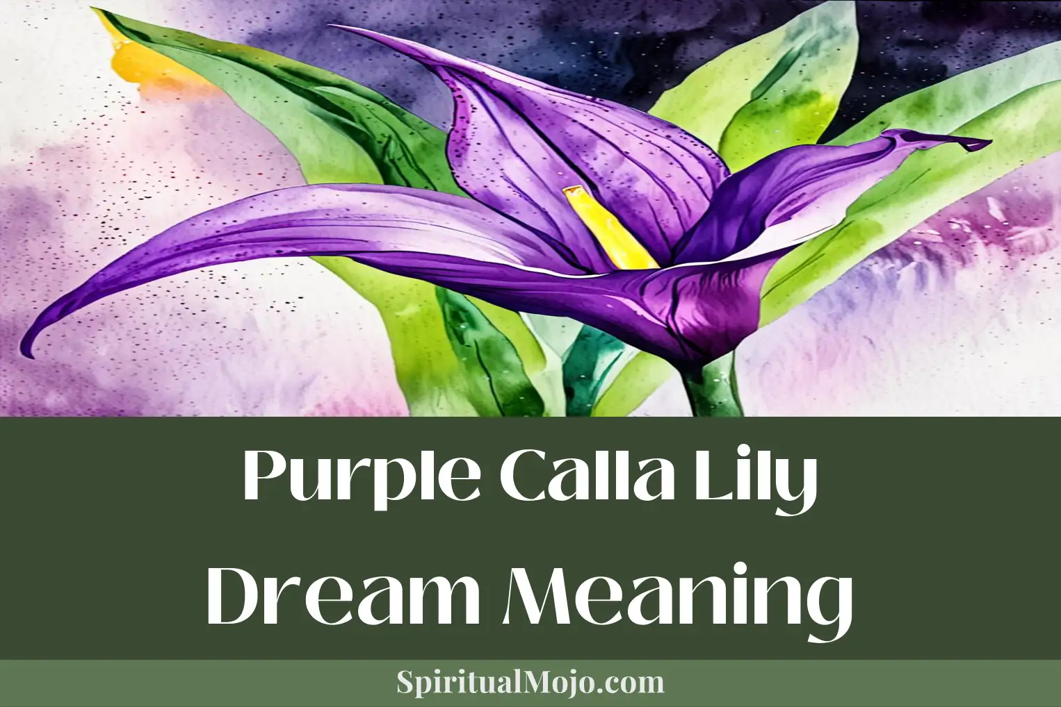 Purple Calla Lily Dream Meaning (Unveiling Hidden Messages 