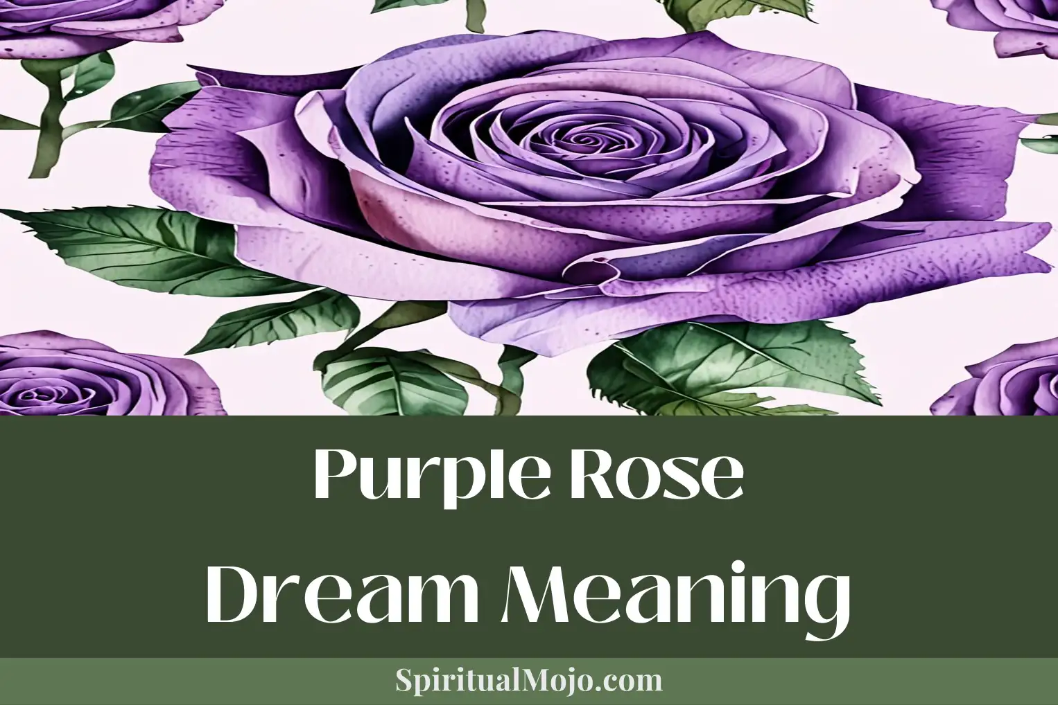 purple rose dream meaning