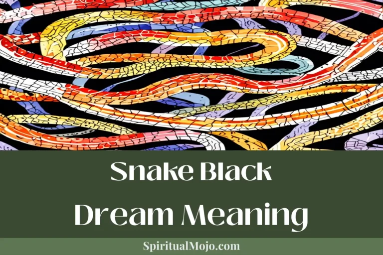 snake black dream meaning