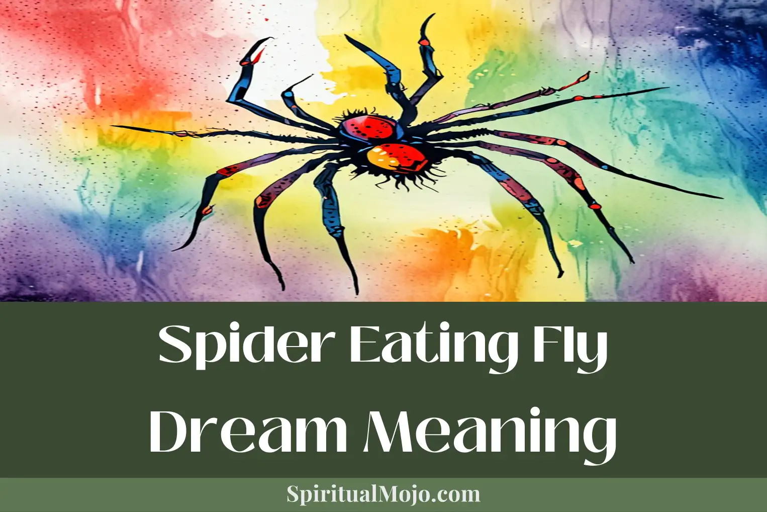 spider eating fly dream meaning