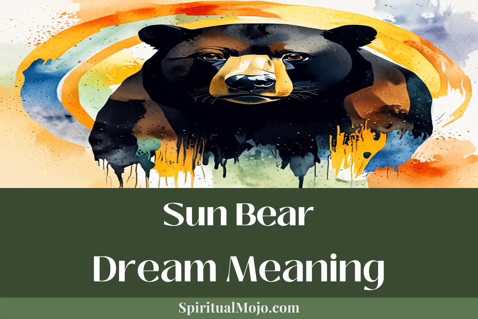 sun bear dream meaning