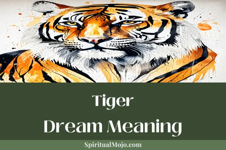 tiger dream meaning