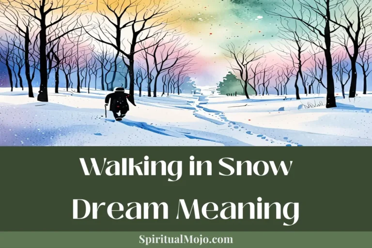 walking in snow dream meaning