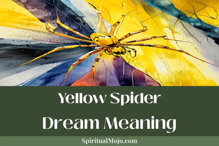 yellow spider dream meaning