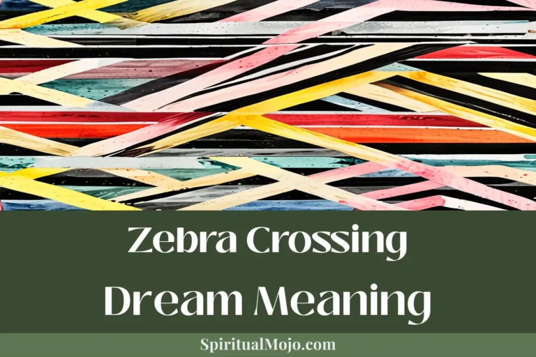zebra crossing dream meaning